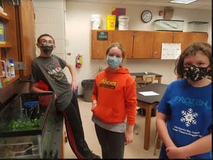 terrapin cleaning crew